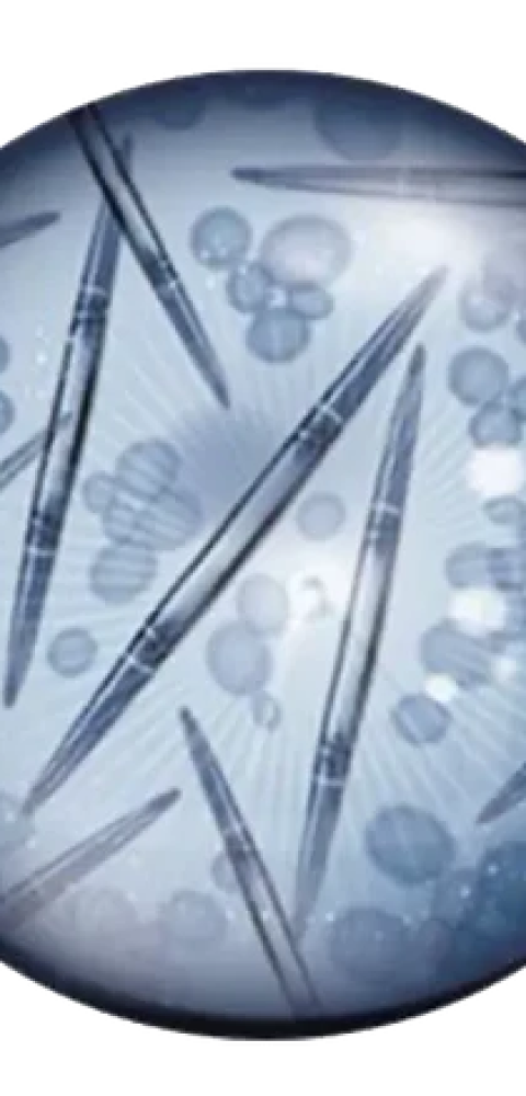 microspear onder een microscoop